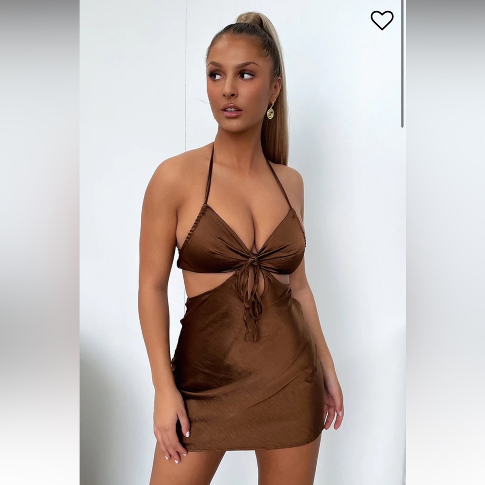 Brown mini that’s so fetch dress